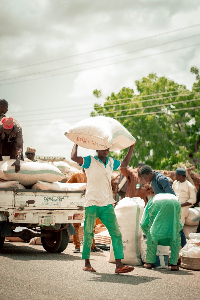 hero-img-02 A group of people working together loading agricultural sacks onto a truck in a rural setting.